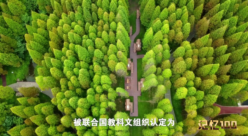 黃海濕地.png